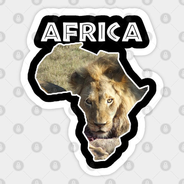 African Wildlife Continent Lion Stare Sticker by PathblazerStudios